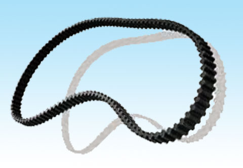 Contitech Timing Belt