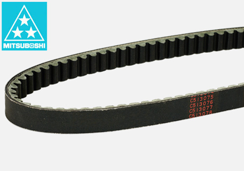 variable Speed Belt